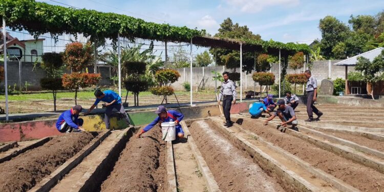 Warga Binaan Lapas Kediri Berdayakan Diri Lewat Program Ketahanan Pangan dan Pertanian di SAE Lakuli