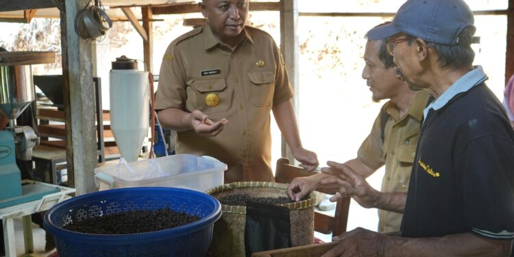 Pemkab Kediri Minta Petani Lereng Gunung Wilis Hasilkan Komoditas Kopi Berkualitas