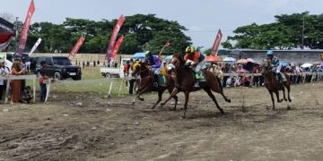 Sebanyak 147 kuda se Jawa Timur Ikuti Pacuan Kuda di Kediri