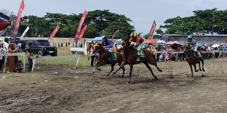 Sebanyak 147 kuda se Jawa Timur Ikuti Pacuan Kuda di Kediri