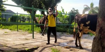 Cegah Wabah PMK, Pemkot Kediri Giat Lakukan Penyemprotan Disinfektan di Pasar Hewan