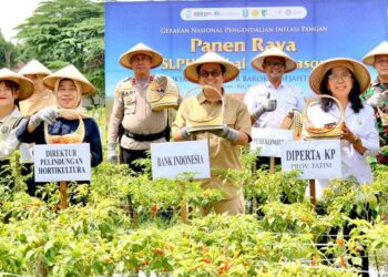 BI Kediri Gelar Panen Raya Cabai Off Season Jntuk Jaga Stabilitas Harga Pangan