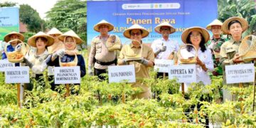 BI Kediri Gelar Panen Raya Cabai Off Season Jntuk Jaga Stabilitas Harga Pangan