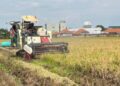 Memasuki Panen 2026, Bulog Kediri Siap Serap Gabah Petani Dengan Harga Sesua HPP