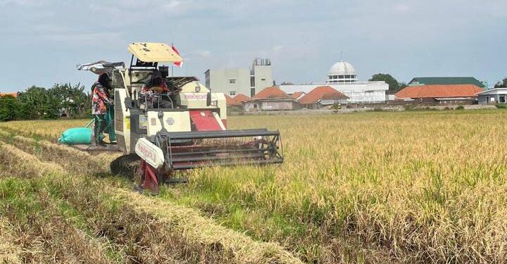 Memasuki Panen 2026, Bulog Kediri Siap Serap Gabah Petani Dengan Harga Sesua HPP