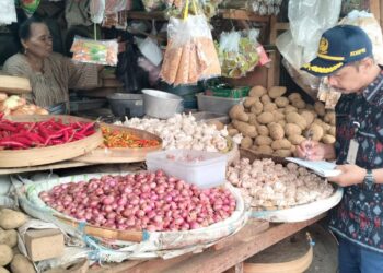Pasca Lebaran DKPP Kota Kediri Lakukan Sidak Harga Bahan Pokok di Pasar Tradisional