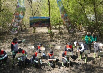 Peduli Lingkungan, PT Pertamina Gas Tanam 1.900 Pohon Mangrove Di Surabaya