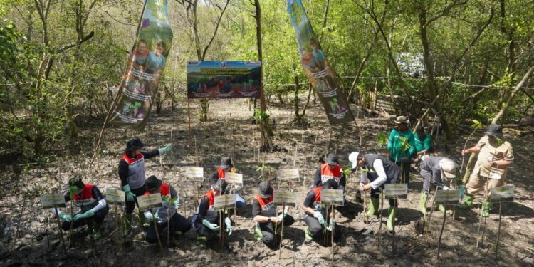 Peduli Lingkungan, PT Pertamina Gas Tanam 1.900 Pohon Mangrove Di Surabaya