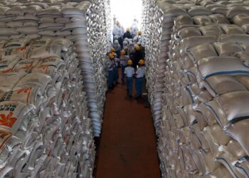 Stok Beras Nasional Tembus 5 Juta Ton, Bulog Kediri Sewa Gudang Demi Tampung Lonjakan Stok