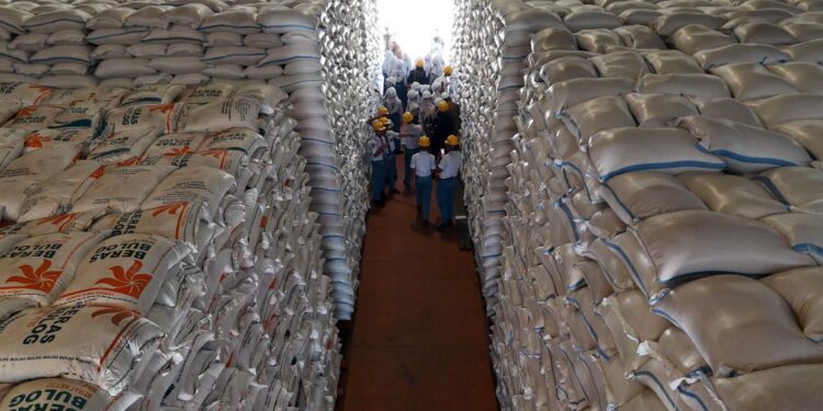 Stok Beras Nasional Tembus 5 Juta Ton, Bulog Kediri Sewa Gudang Demi Tampung Lonjakan Stok