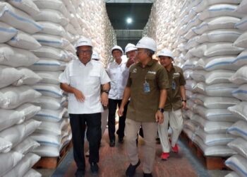Anggota Komisi VII DPR RI Sidak Bulog Kediri, Pastikan Stok Beras Aman