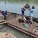 Puluhan Tahun Penambang Pasir Tradisional Sungai Brantas Kota Kediri, Ikut Menjaga Kelestarian Alam