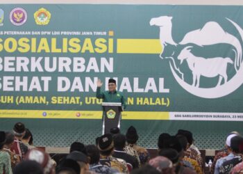 LDII Jatim Sosialisasikan Kurban Sehat dan Halal Jelang Idul Adha